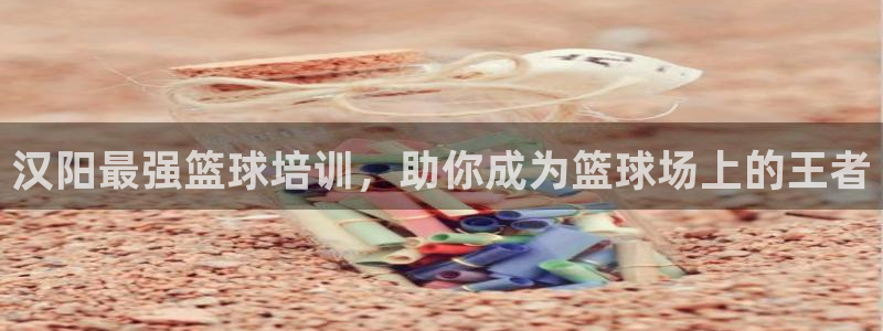 富联娱乐登录注册：汉阳最强篮球培训，助你成为篮球场上