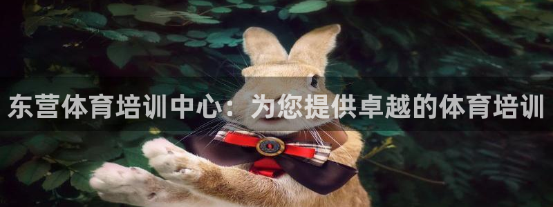 富联平台是什么：东营体育培训中心：为您提供卓越的体育
