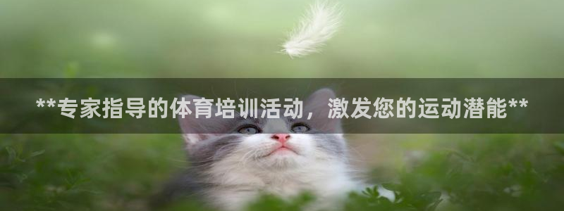 富联商标：**专家指导的体育培训活动，激发您的运动潜