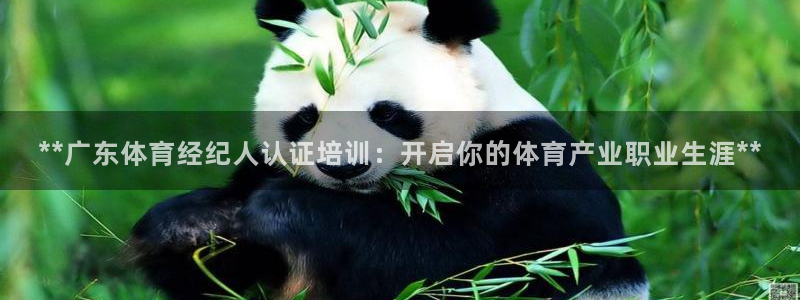 富联娱乐老板是谁：**广东体育经纪人认证培训：开启你