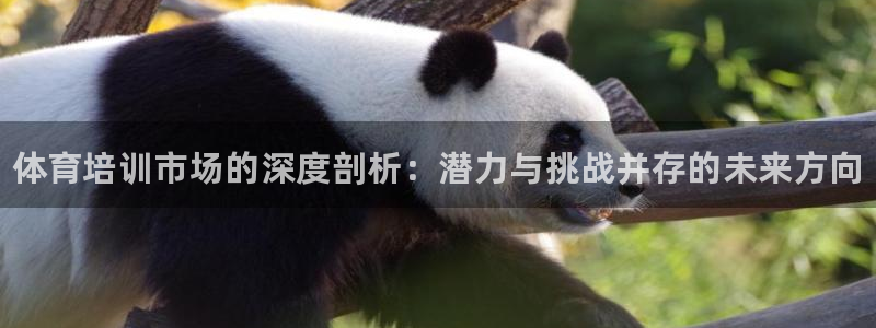 富联是什么