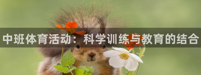 富联申购是什么股票啊