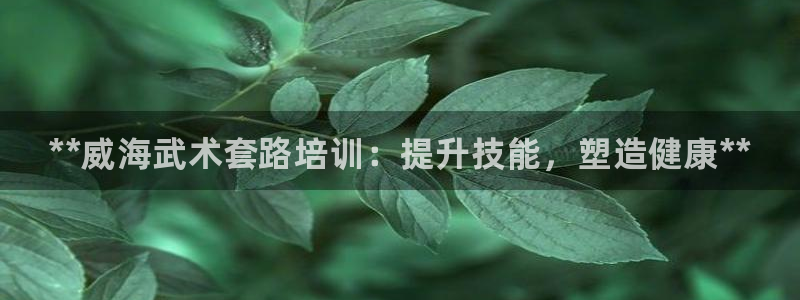 富联娱乐在线注册链接：**威海武术套路培训：提升技能，塑造健