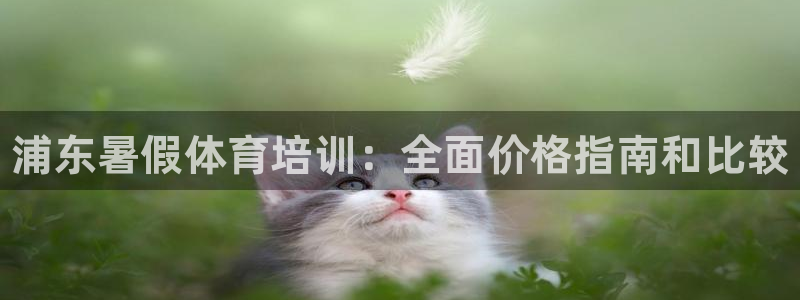 富联平台认可 585.34I 富联：浦东暑假体育培训：全面价