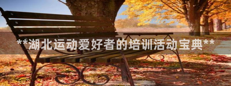富联芯科技：**湖北运动爱好者的培训活动宝典**