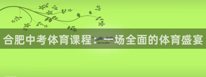 富联娱乐负责人是谁：合肥中考体育课程：一场全面的体育盛宴