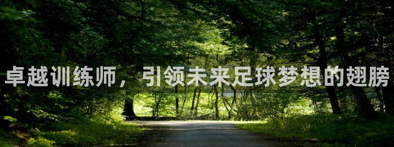 富联食品加工厂：卓越训练师，引领未来足球梦想的翅膀