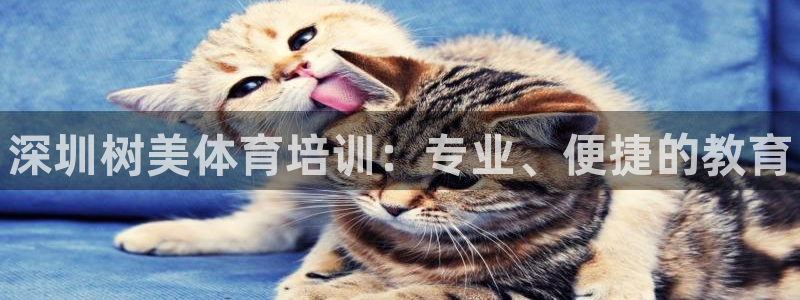 富联平台推荐 37oo735：深圳树美体育培训：专业、便捷的