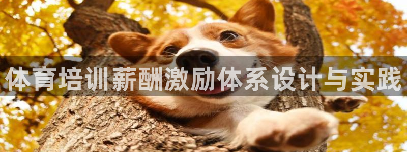 富联娱乐戚少风：体育培训薪酬激励体系设计与实践