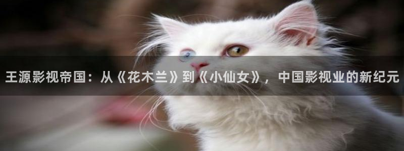 www.eesuu影院8