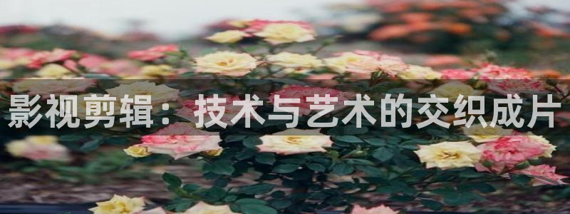 秋霞电影院26uuu