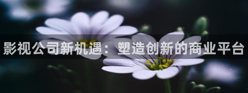 uu午夜影院